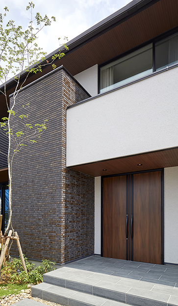 �{�H����