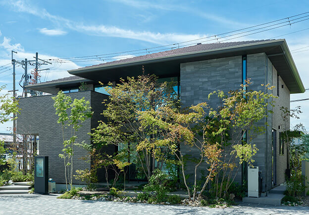 �{�H����