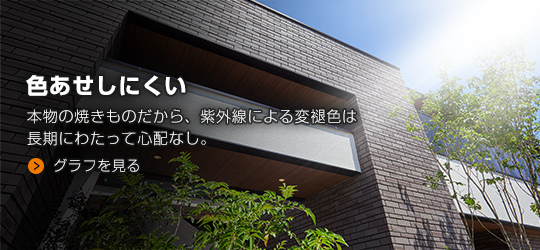 �F�������ɂ���