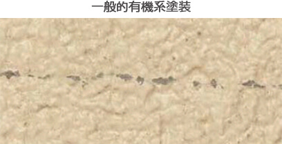 ��ʗL�@�n�h��