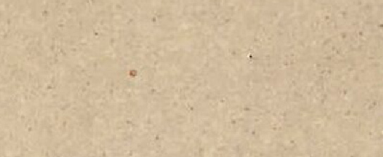 �^�C���O��