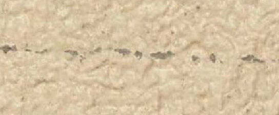 ��ʓI�L�@�n�h��