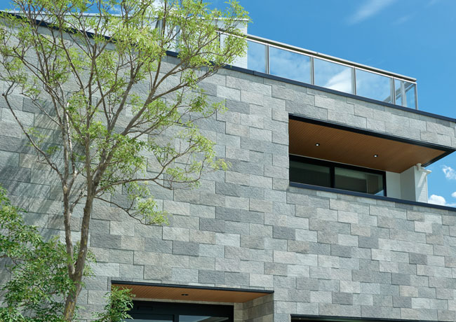 �ǁFHAL-420/STC-JR3